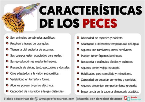 características de los peces.